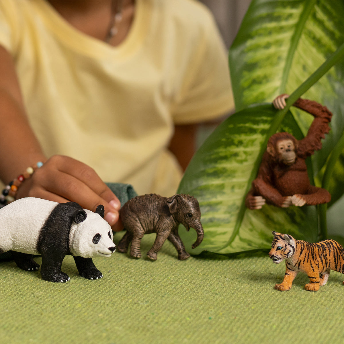Schleich Wild Life Asia 42736 starter set figure animali
