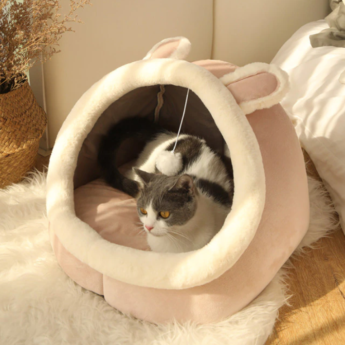 ToyalFriends Pet Beds Warm Creative Shape cuccia gatto Dinosaur M