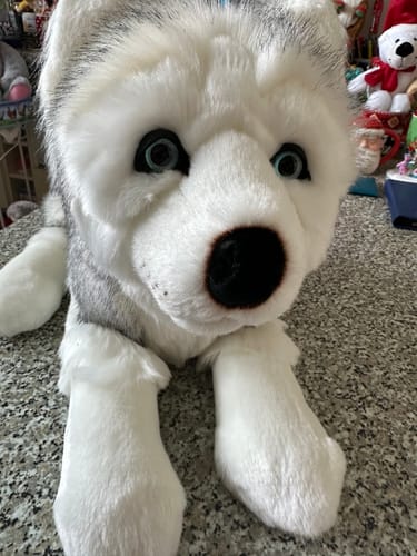 La Pelucherie Husky Léonard peluche cane Small 30cm grigio