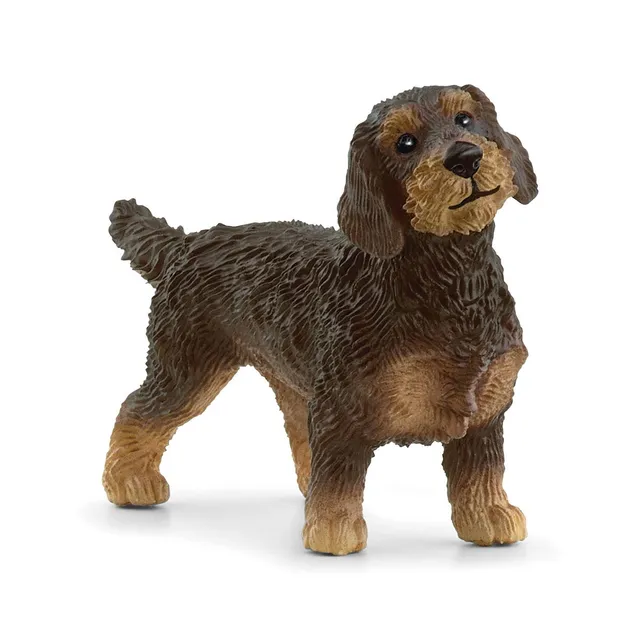 Schleich Farm World Bassotto Pelo Ruvido Action Figure Cane