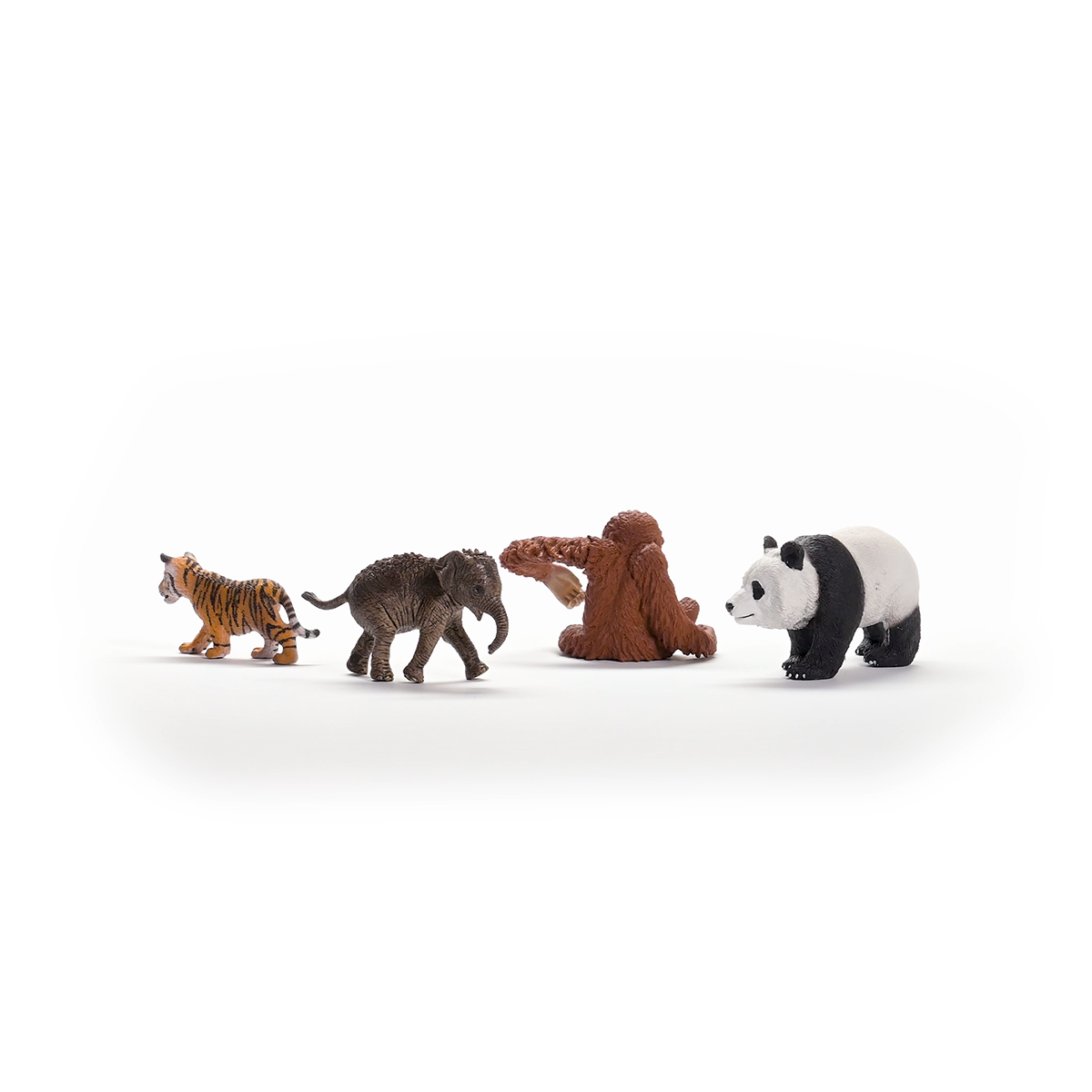 Schleich Wild Life Asia 42736 starter set figure animali
