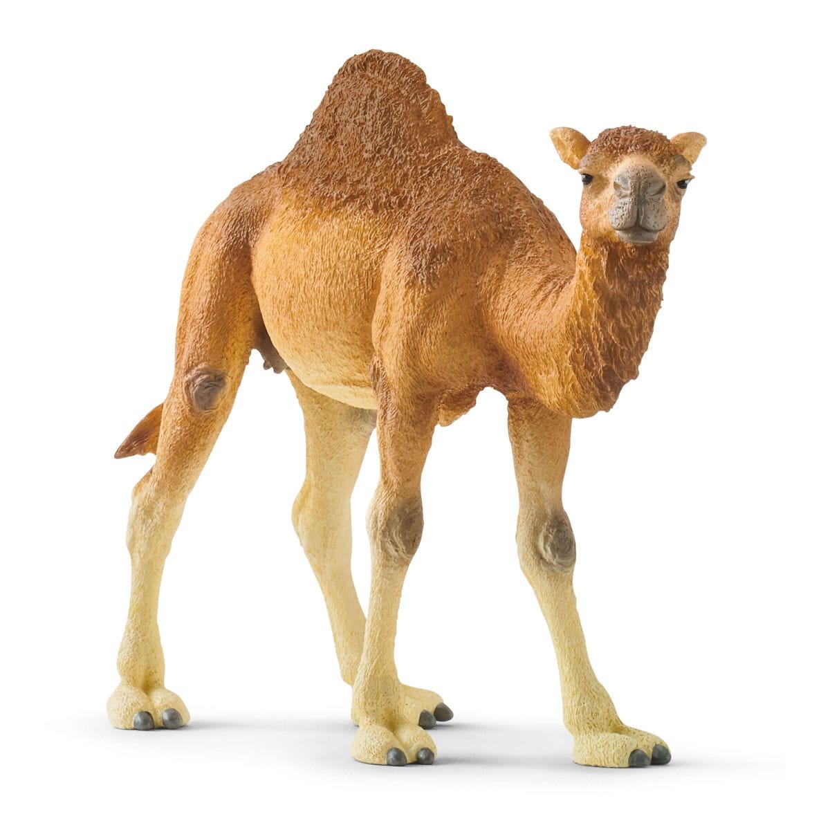 Schleich Wild Life 14832 Dromedario action figure deserto