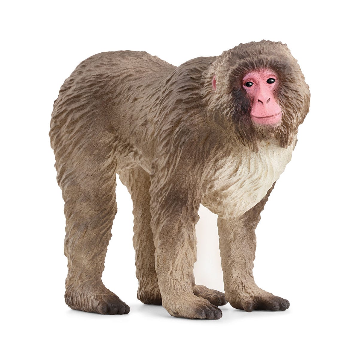 Schleich Wild Life Macaco giapponese 14871 statuetta