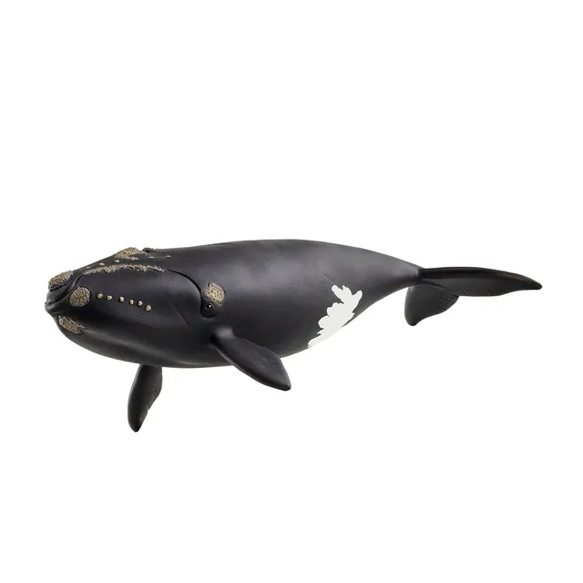 Schleich Wild Life Balenottera Atlantica figure balena bundle