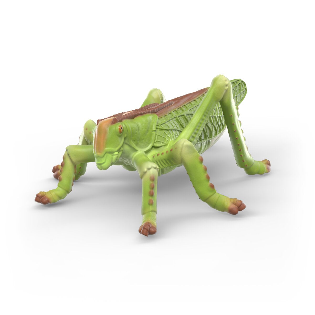 Schleich WILD LIFE Set Esploratore Insetti 4 figure