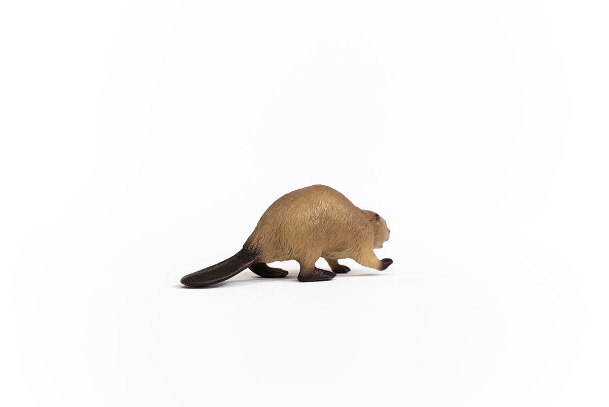 Schleich Wild Life Castoro action figure 14855 foresta