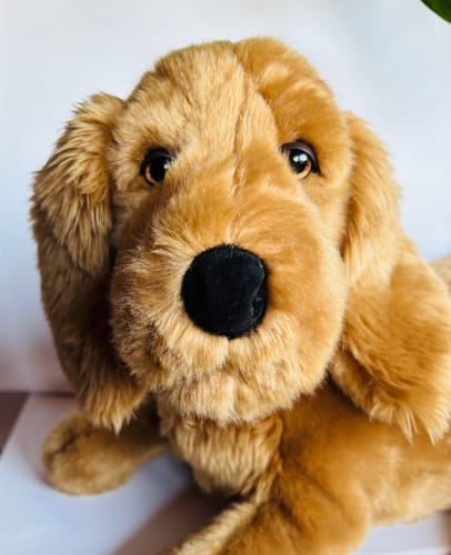 La Pelucherie Dogs Cocker Théo peluche cane Small 30 cm affettuoso