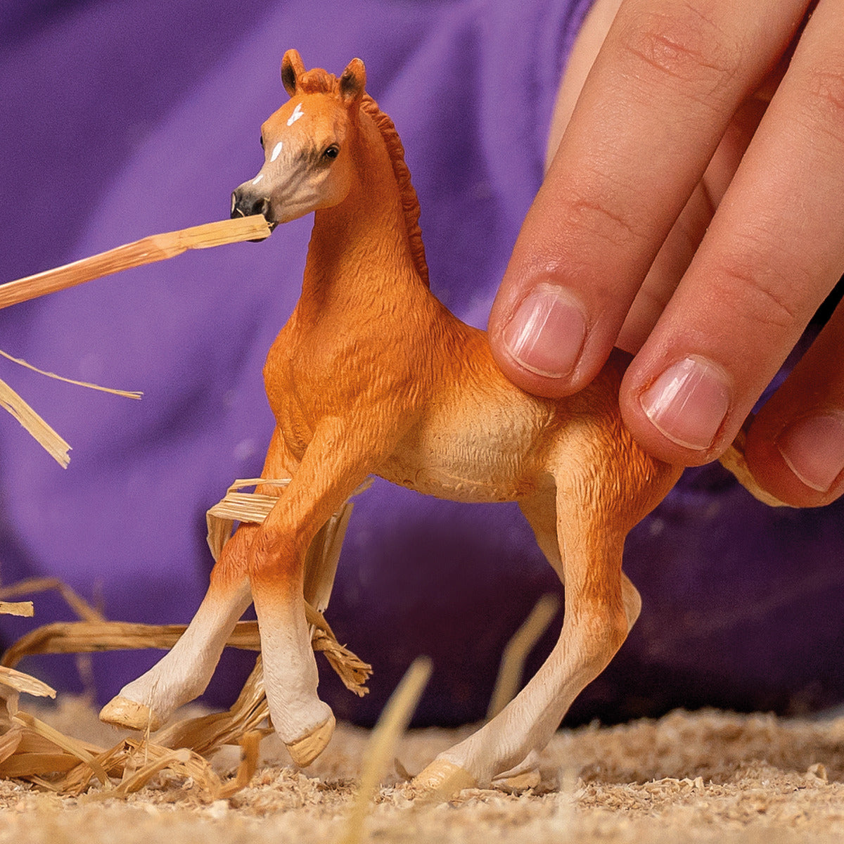 Schleich Horse Club Puledro Arabo cavallo 13984