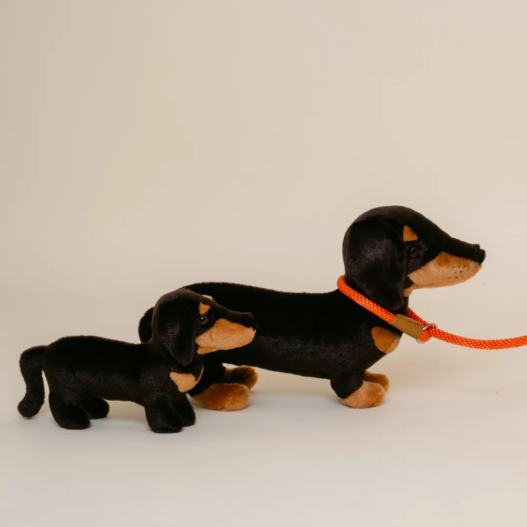 La Pelucherie Dogs Eugène bassotto peluche 25 cm marrone