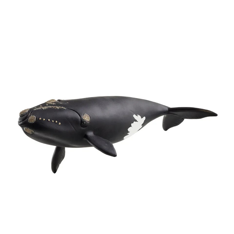 Schleich Wild Life Balena Franca Nordatlantica Figura