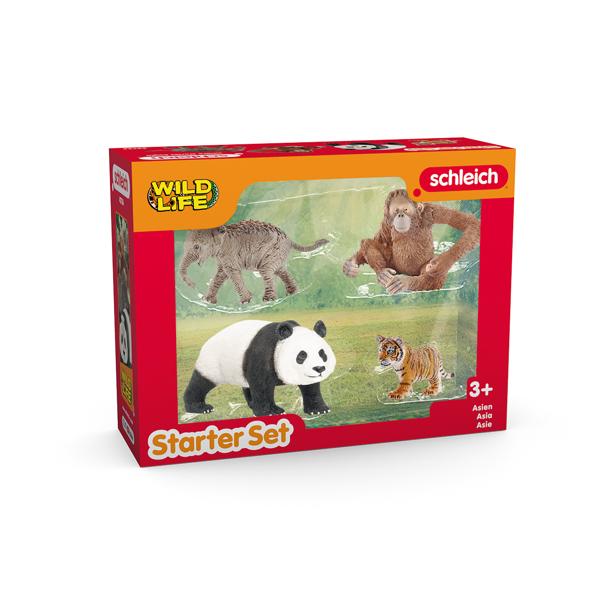 Schleich Wild Life Asia 42736 starter set figure animali