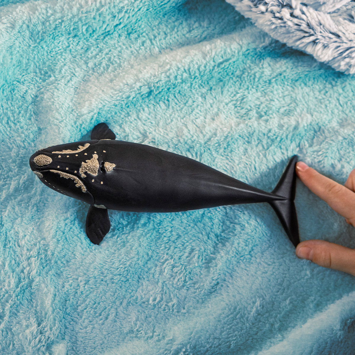 Schleich Wild Life Balena Franca Nordatlantica Figura