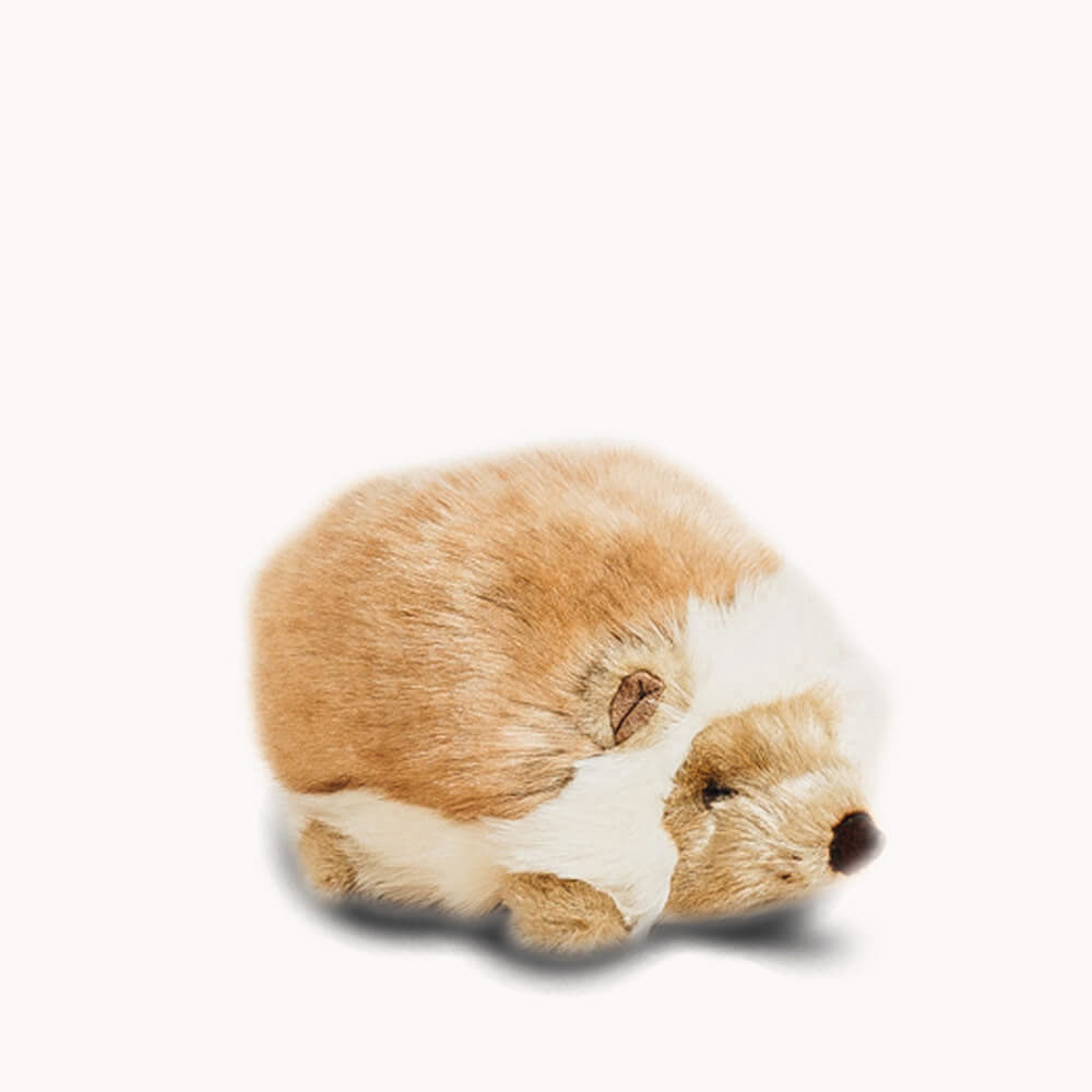 La Pelucherie Forest Alfred riccio peluche 20 cm