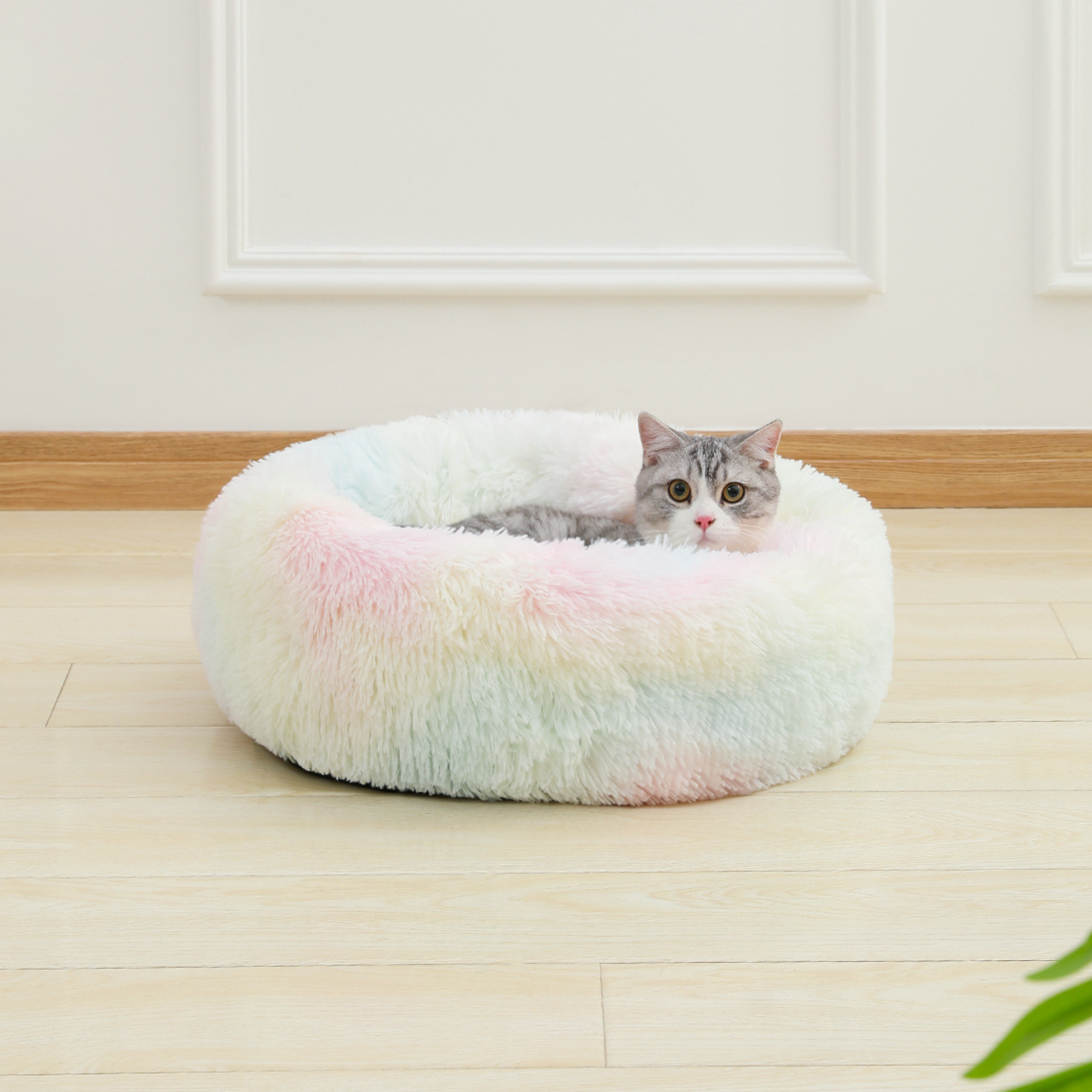 ToyalFriends Pet Beds Rotondo cuscino grigio S 50cm
