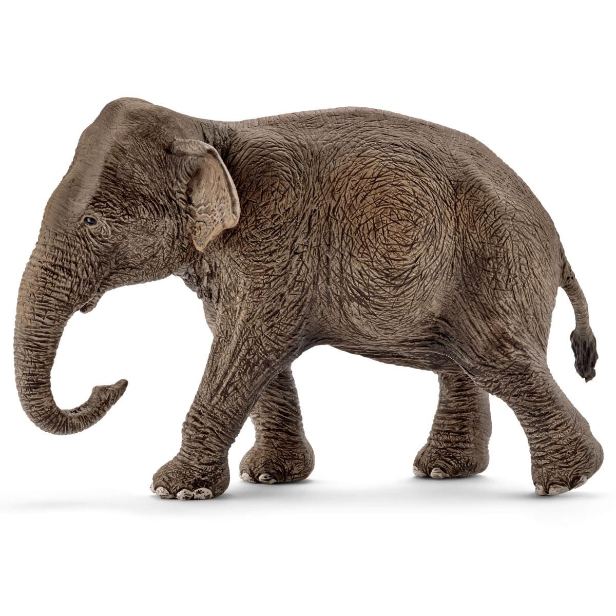 Schleich WILD LIFE Elefante Asiatico Femmina figure