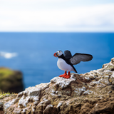 Schleich Wild Life Puffin Pulcinella di Mare Action Figure