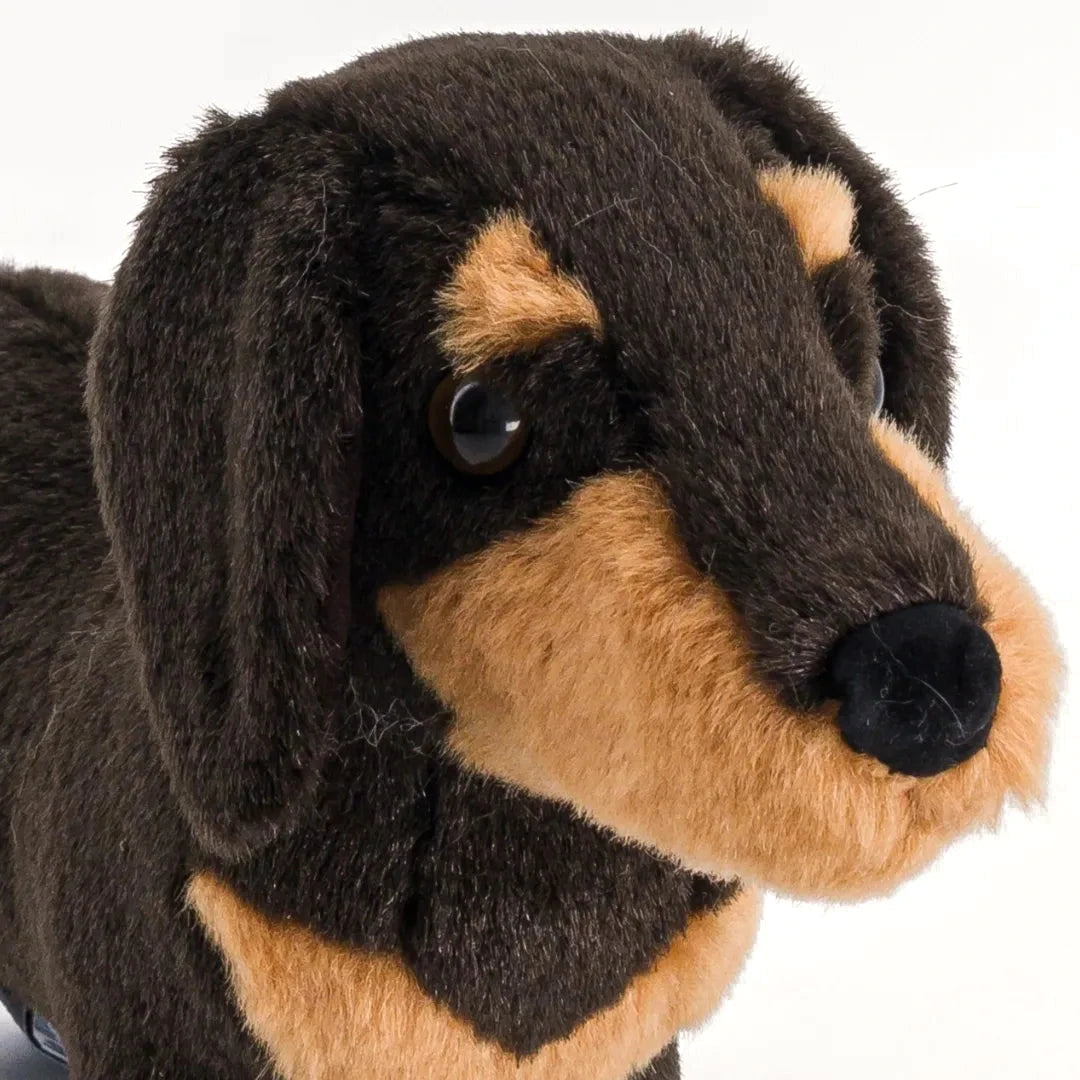 La Pelucherie Dogs Eugène bassotto peluche 25 cm marrone