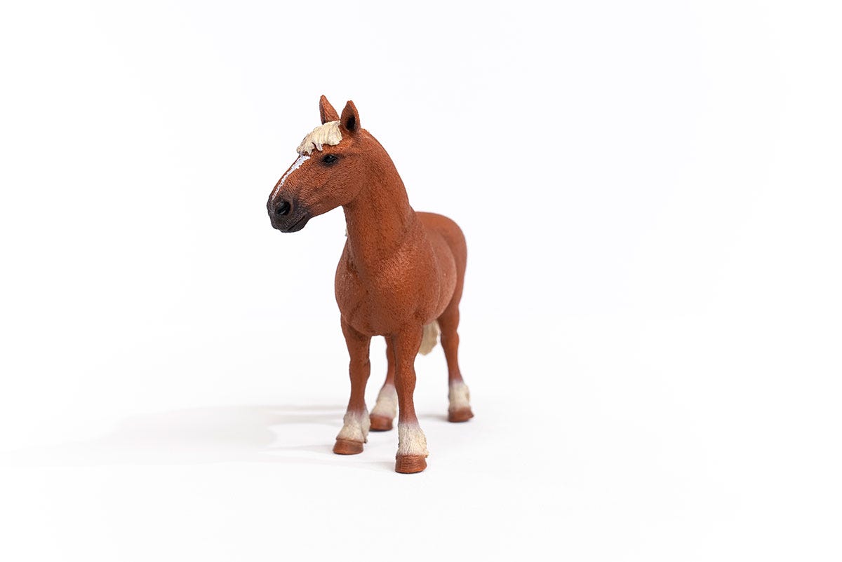 Schleich Horse Club Cavalla Belga 13941 cavallo sportivo