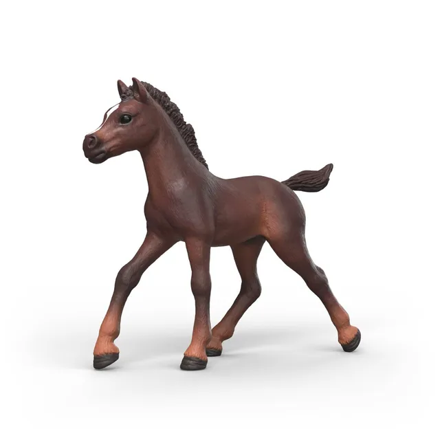 Schleich Horse Club Collectible Foal Ravi Figura Puledro Poster