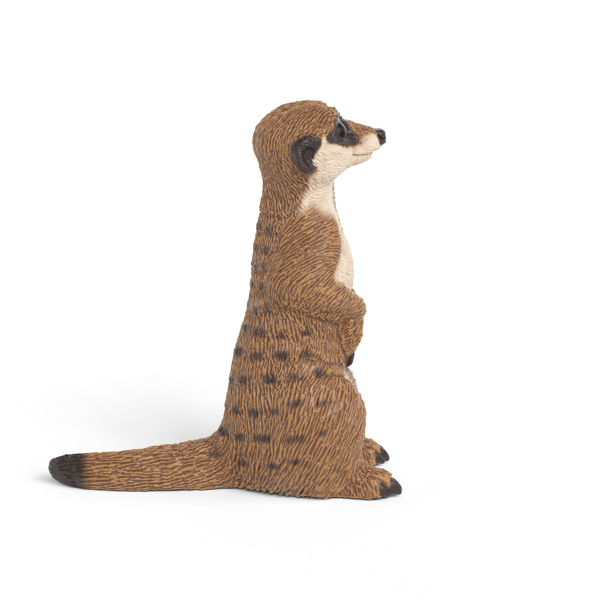 Schleich Wild Life Suricato 14935 action figure savana