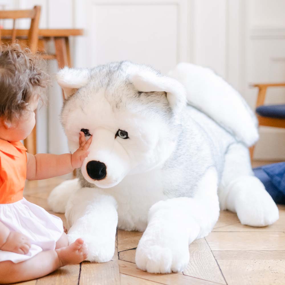 La Pelucherie Husky Léonard peluche cane Small 30cm grigio