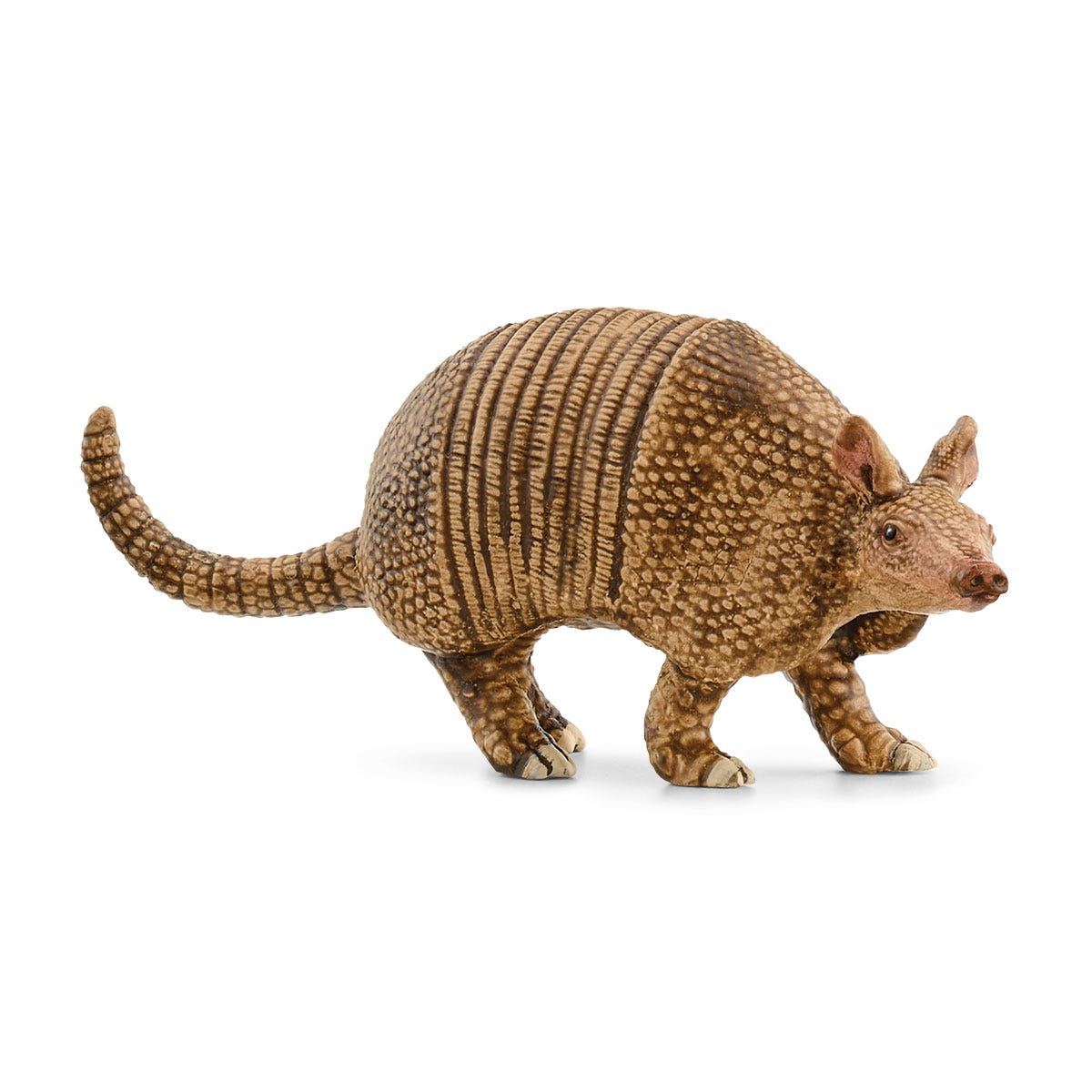 Schleich WILD LIFE Armadillo 14874 action figure deserto
