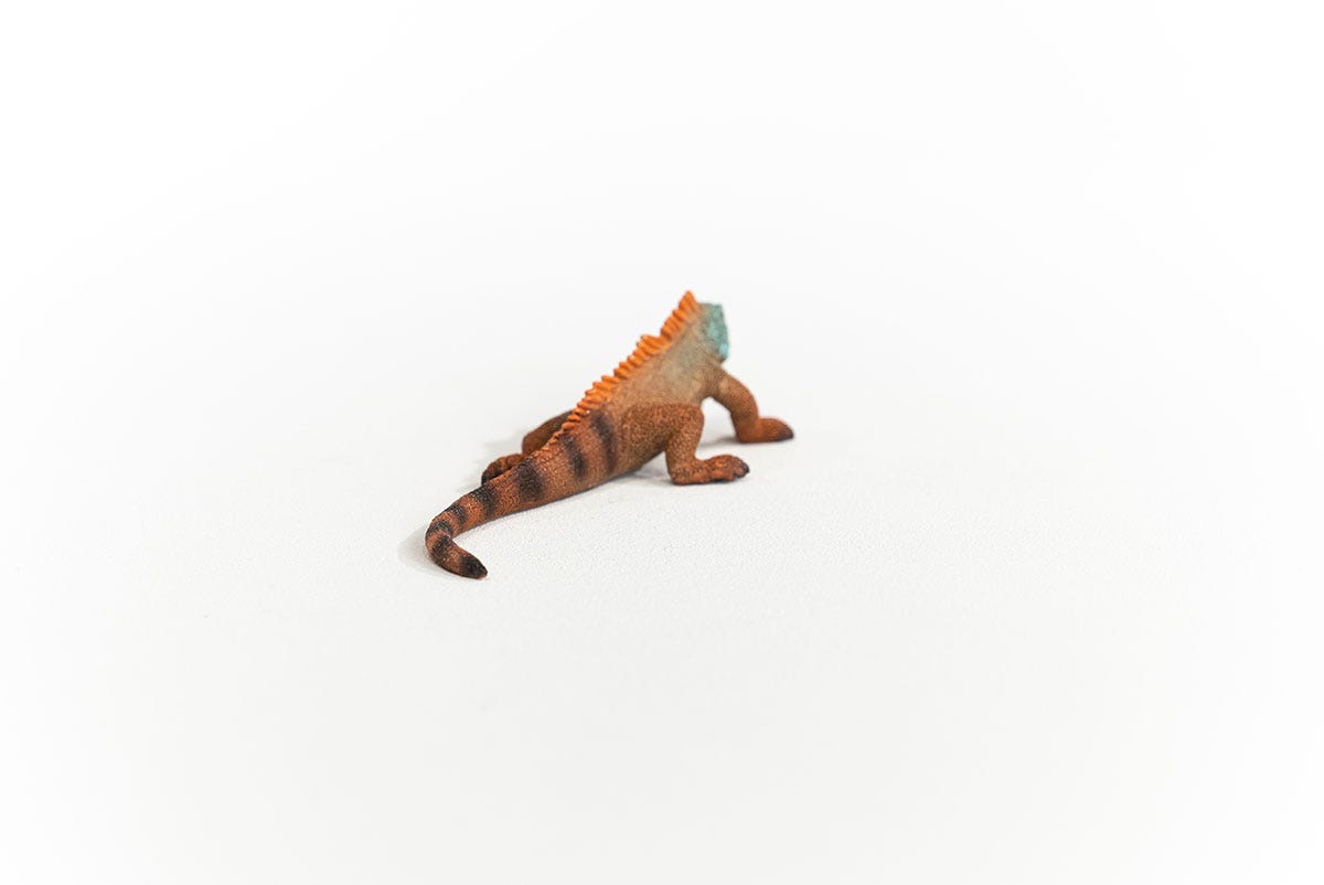 Schleich Wild Life Iguana 14854 Action Figure Rettile Coda Lunga