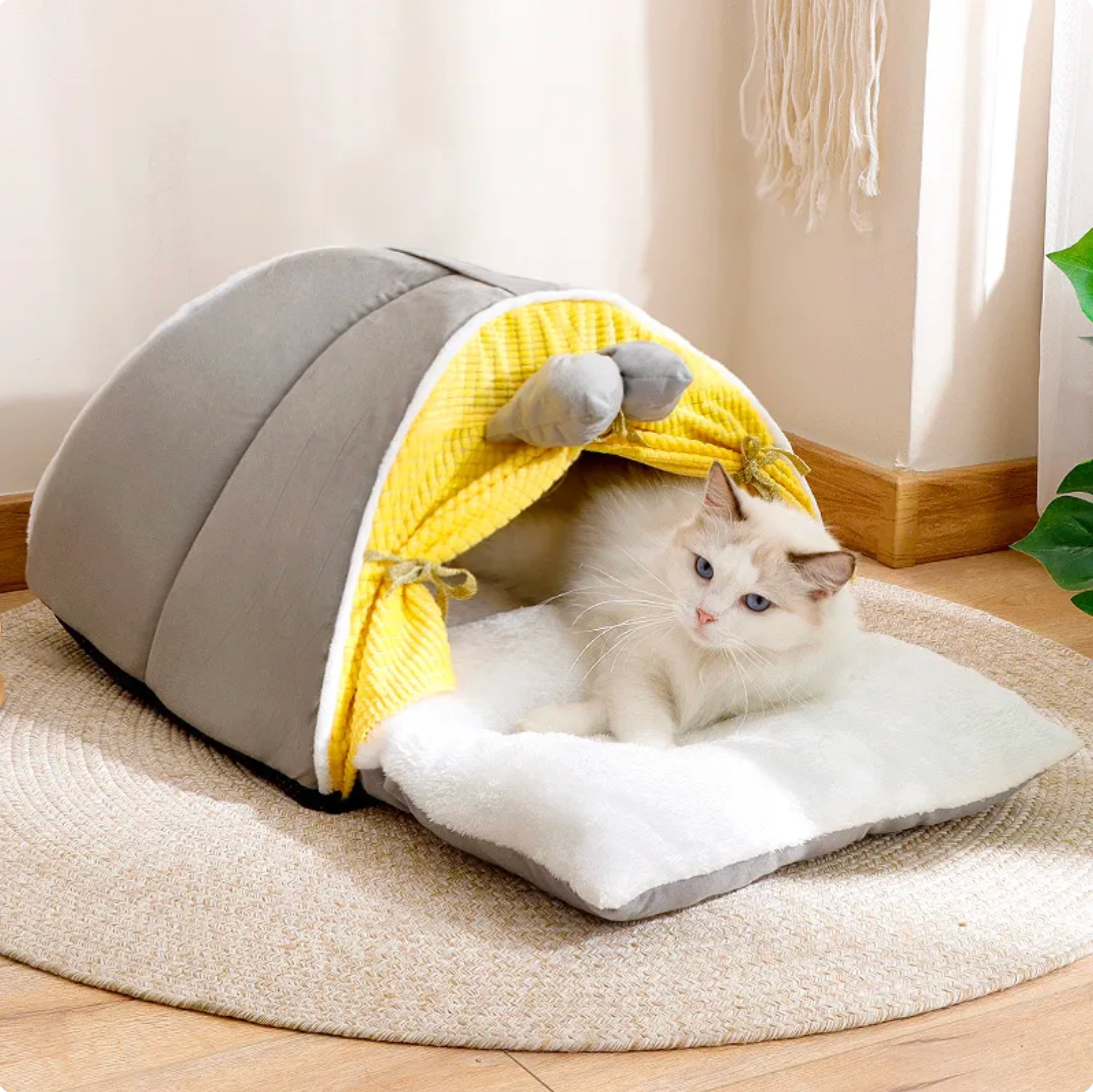 ToyalFriends Pet Beds tenda gatto M 65cm gialla casetta fiocco