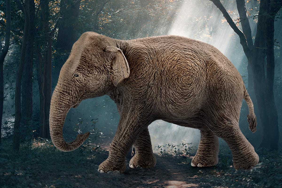 Schleich WILD LIFE Elefante Asiatico Femmina figure