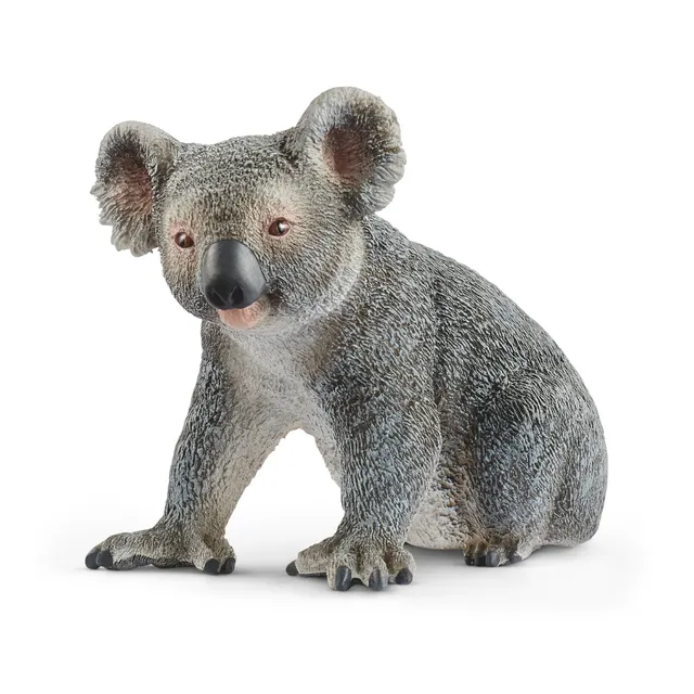 Schleich Wild Life Koala action figure da collezione