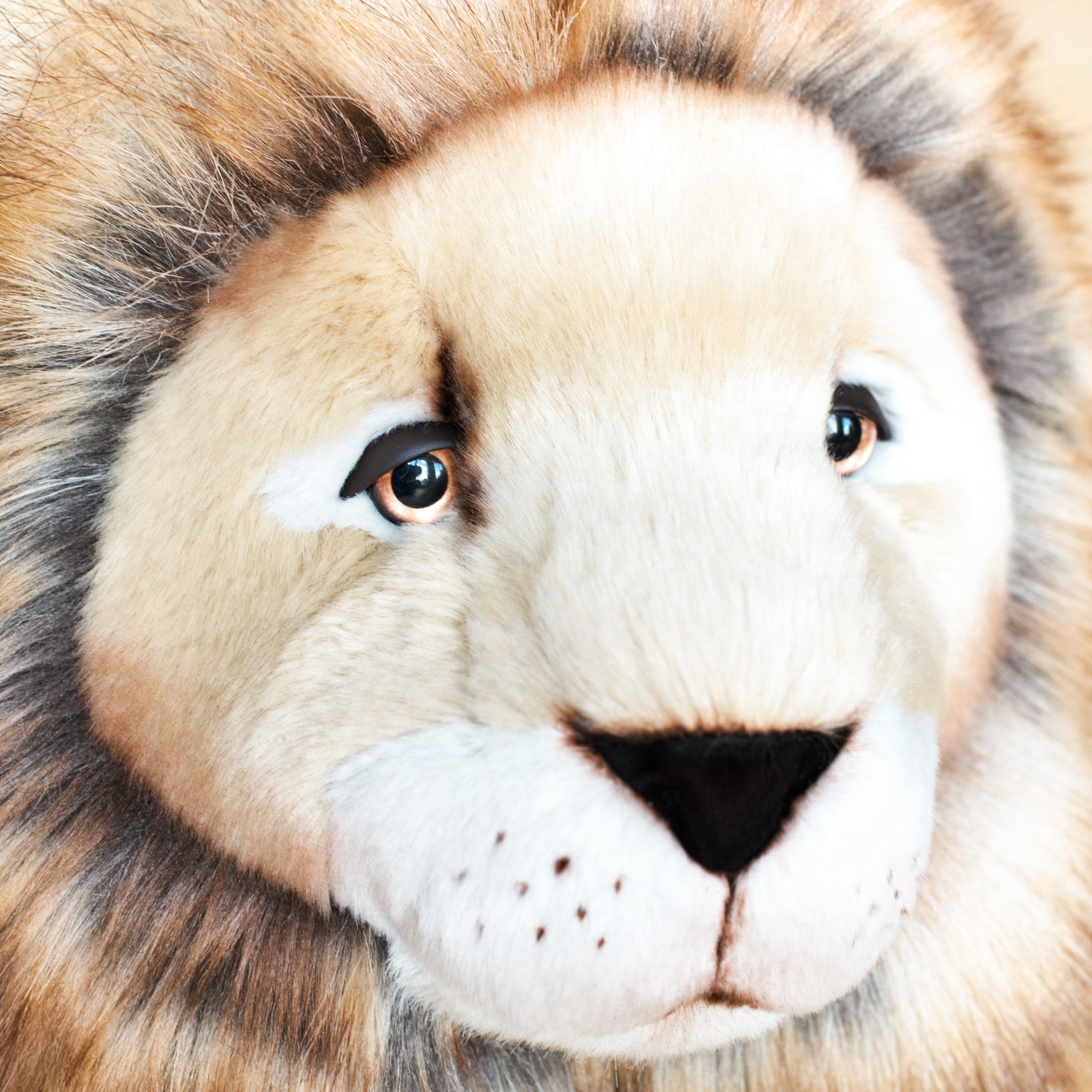 La Pelucherie Jungle Melchior leone peluche 40 cm criniera