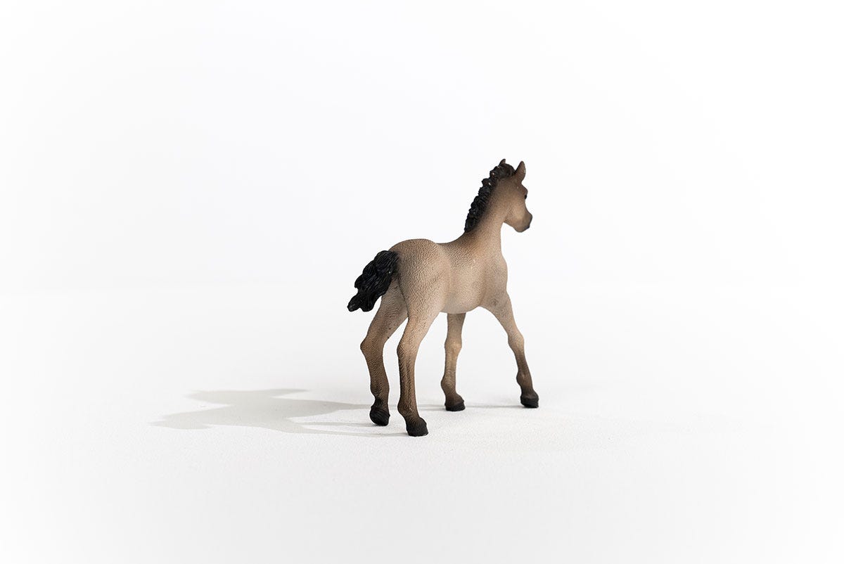 Schleich Horse Club Puledro Criollo 13949 figura cavallo