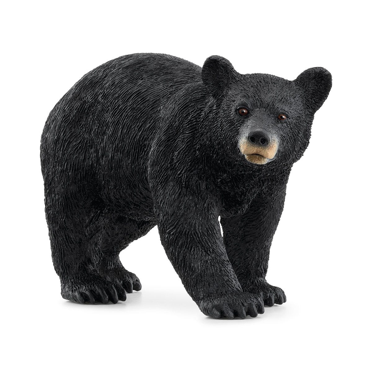 Schleich Wild Life Orso Nero Americano action figure 14869