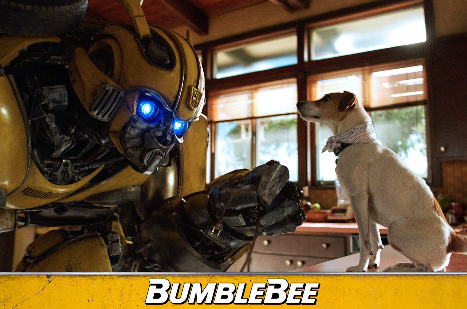 Transformers Bumblebee film DVD Blu-ray edizione tedesca