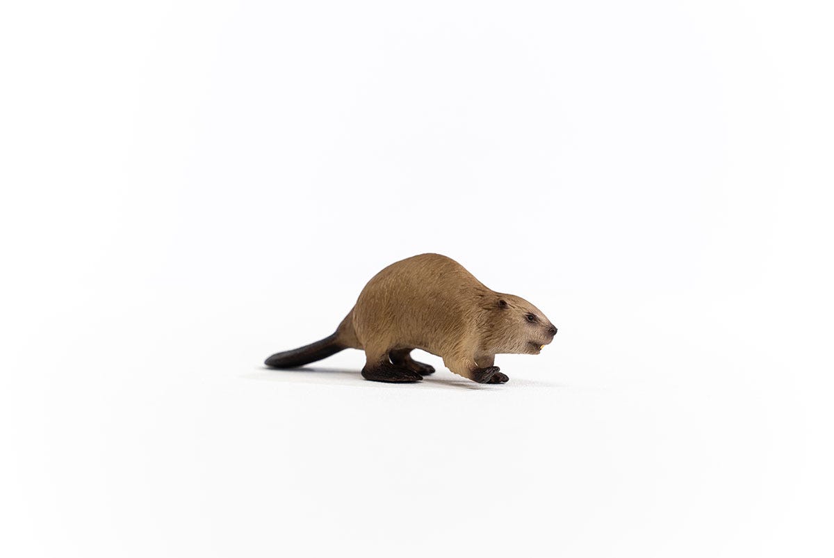 Schleich Wild Life Castoro action figure 14855 foresta