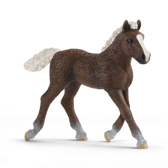 Schleich Horse Club Puledro Schwarzwald 13899 sauro