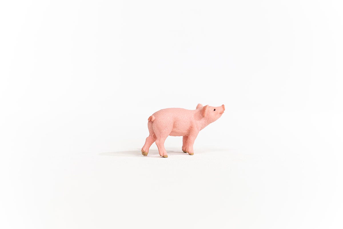 Schleich Farm World Maialino 13934 statuetta animale