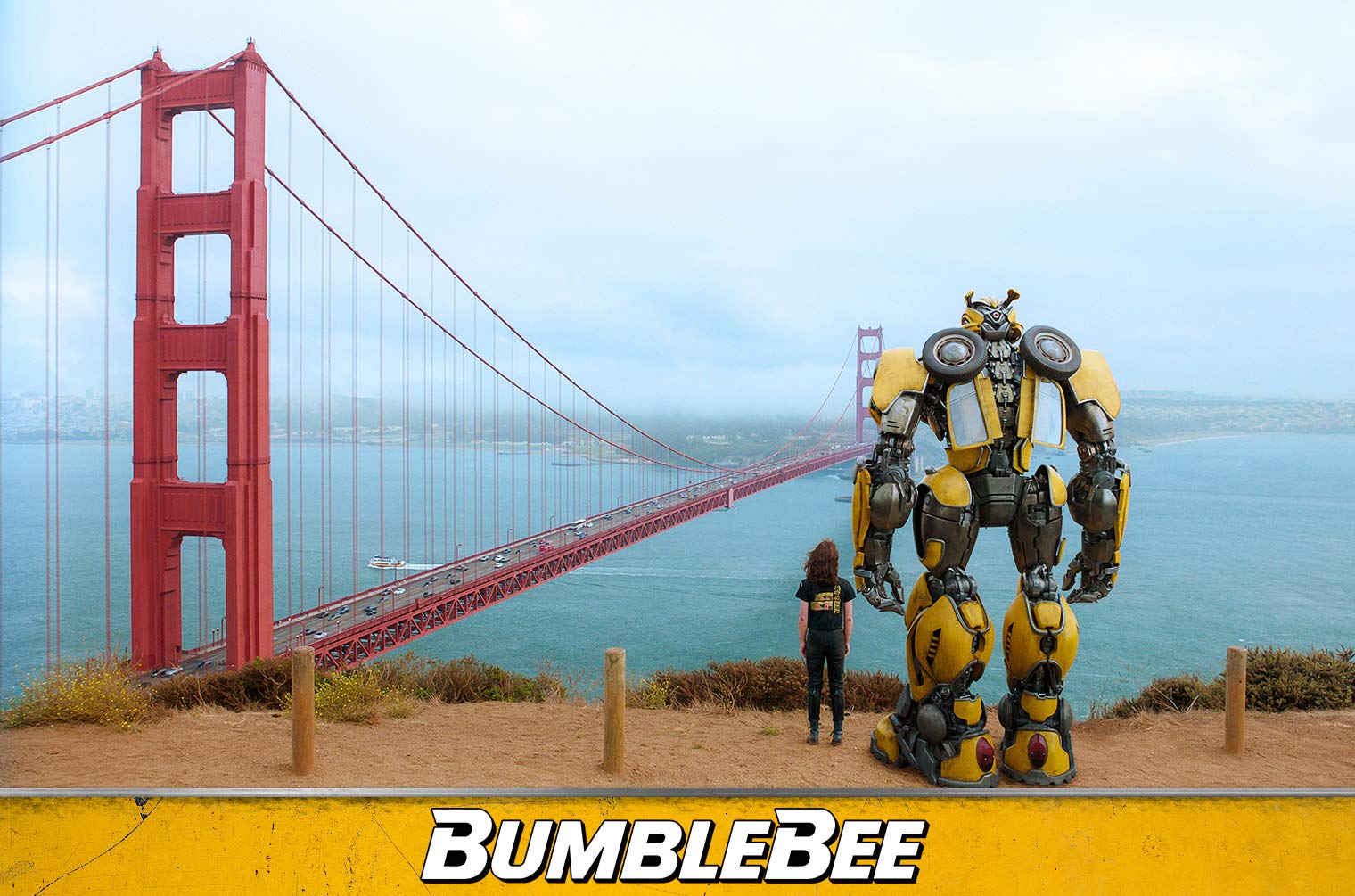 Transformers Bumblebee film DVD Blu-ray edizione tedesca