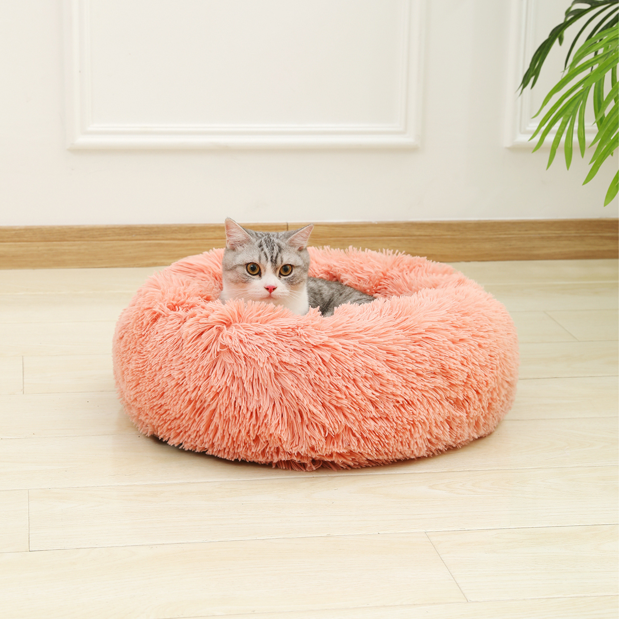 ToyalFriends Pet Beds Rotondo cuscino grigio S 50cm