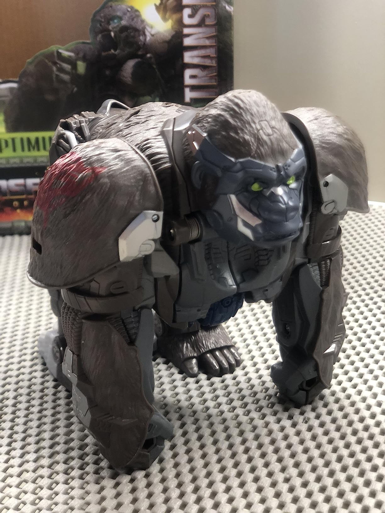 Transformers Rise of the Beasts Smash Changer Optimus Primal action figure 22,5 cm