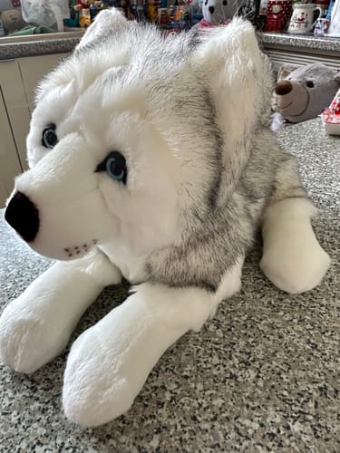 La Pelucherie Husky Léonard peluche cane Small 30cm grigio