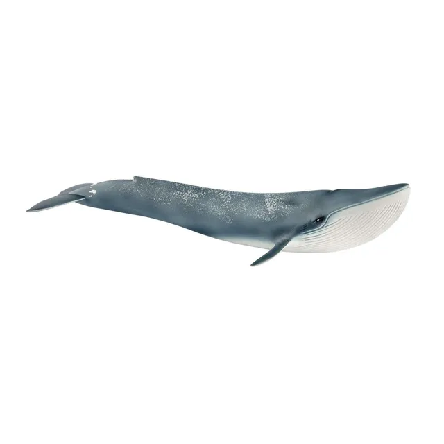 Schleich Wild Life Balena Blu 14806 Figure Grande