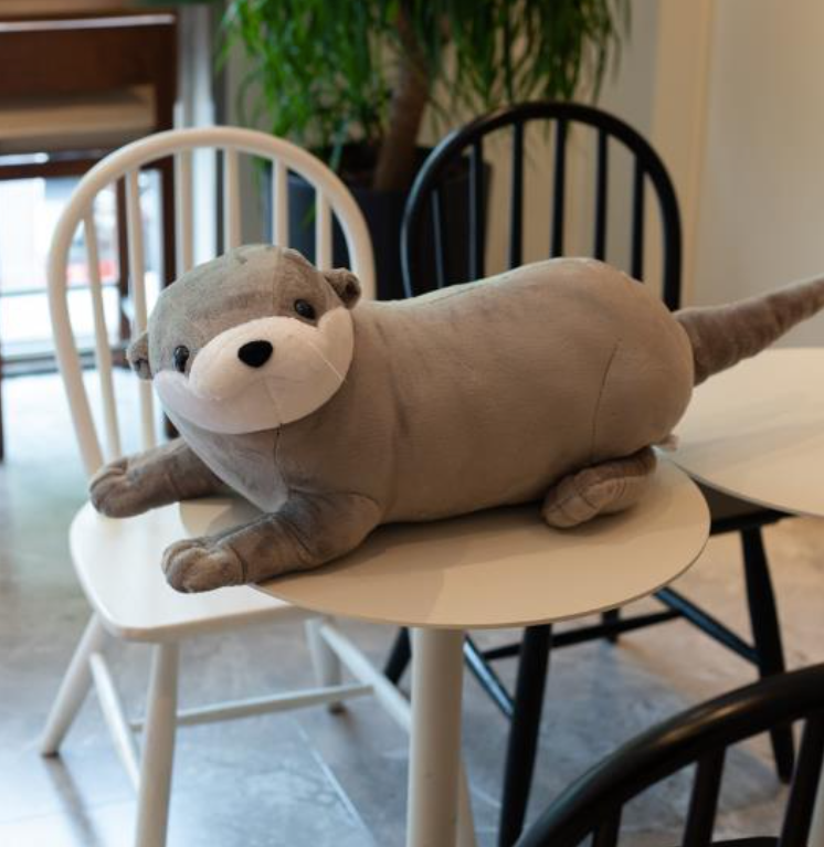 ToyalFriends More Animals Lontra peluche rosa 40cm morbido