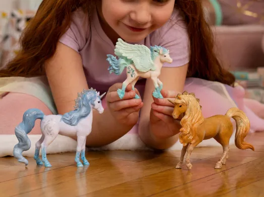 Schleich Bayala Regni Incantati bundle personaggi fantasy