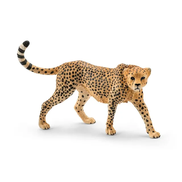 Schleich Wild Life Ghepardo femmina 14746 action figure animale