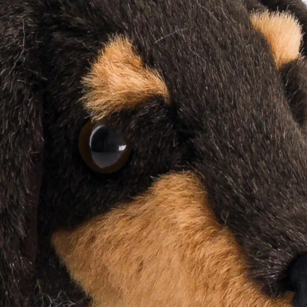 La Pelucherie Dogs Eugène bassotto peluche 25 cm marrone