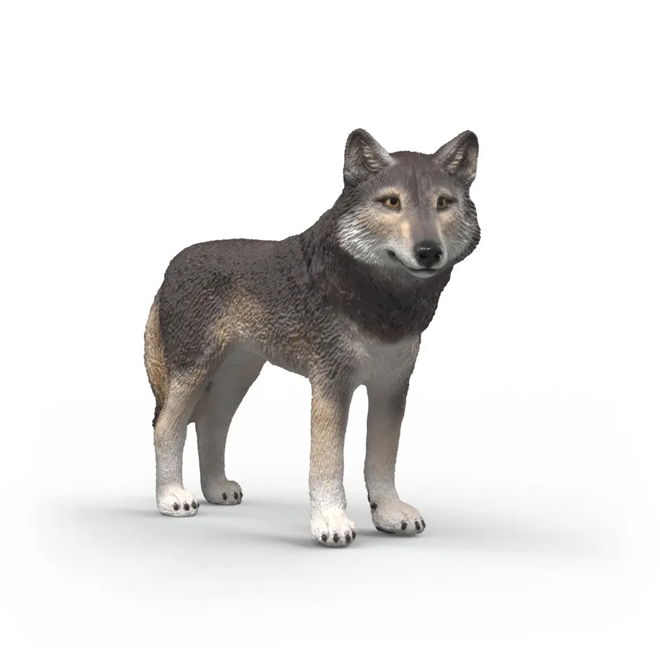 Schleich WILD LIFE Lupo Americano animal figure 14991 foresta