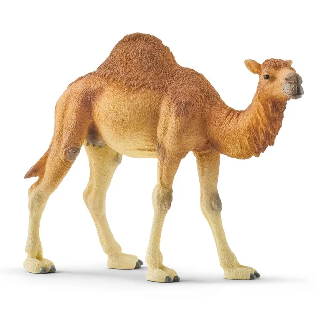 Schleich Wild Life 14832 Dromedario action figure deserto