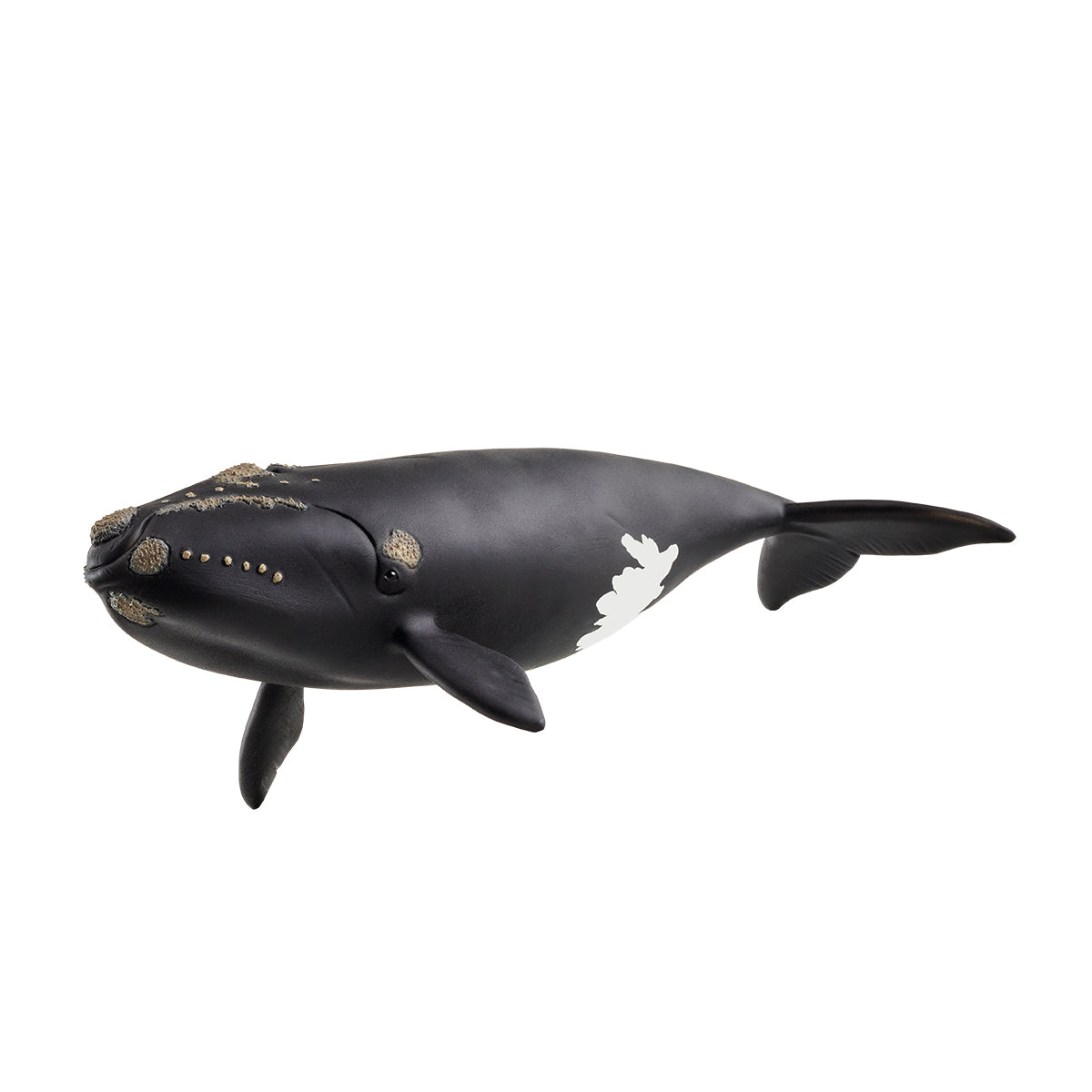 Schleich WILD LIFE Balena franca nordatlantica animale oceano