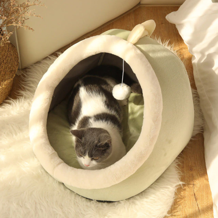 ToyalFriends Pet Beds Warm Creative Shape cuccia gatto Dinosaur M